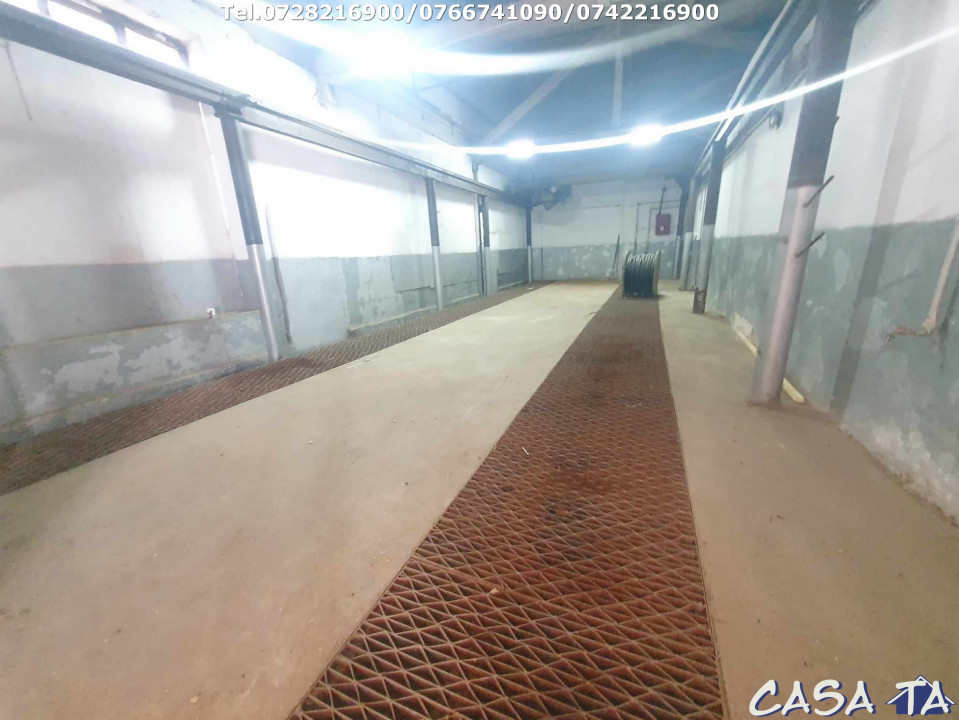 Hala Industriala ( 185 mp) ,situata în Iezureni