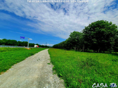 Teren  (18.689 mp), Str Tismana (LA NUCI)