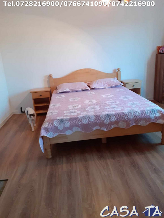 Casa 4 camere, situata în Alimpesti (Gorj)
