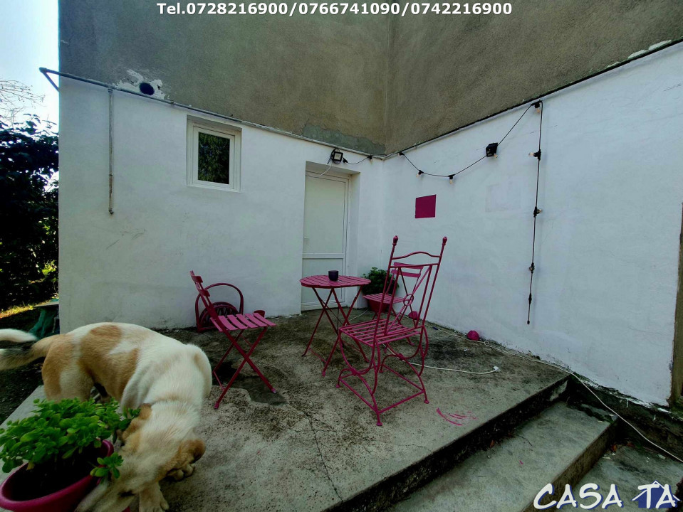 Casa tip vila D+P+1 ,situata în Turcinesti
