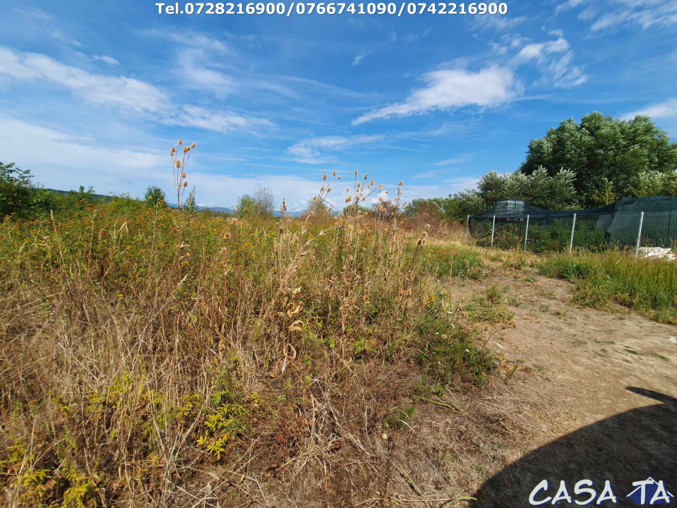 Teren Intravilan (279 mp),situat in Cartier Sisesti