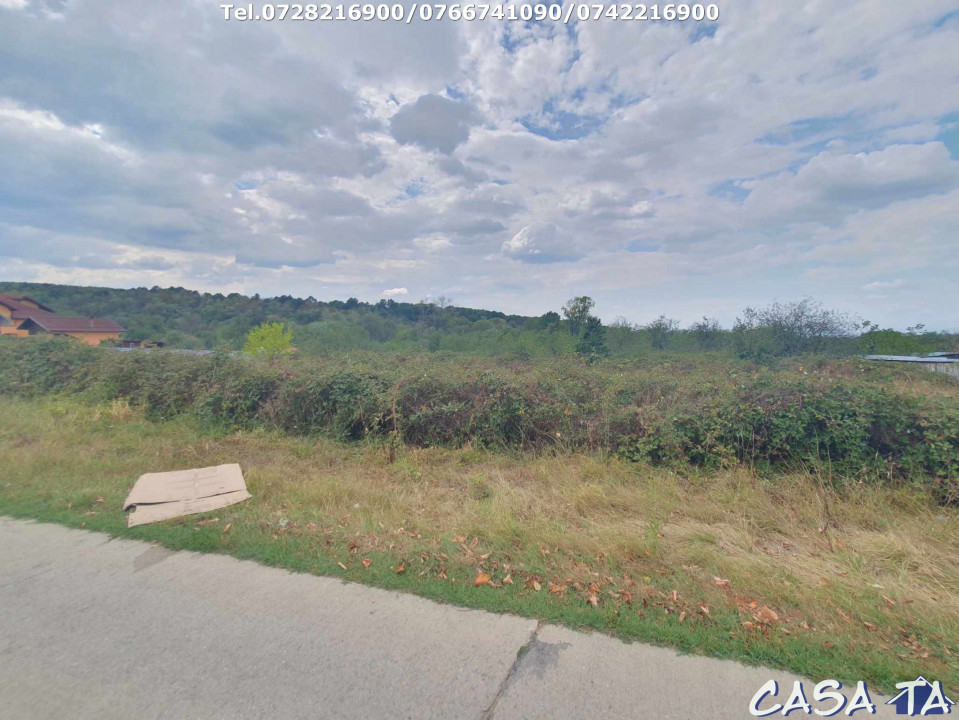 Teren Intravilan (1000 mp),situat în Danesti -Vacarea