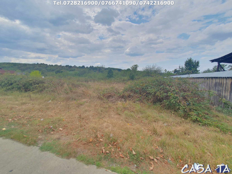 Teren Intravilan (1000 mp),situat în Danesti -Vacarea