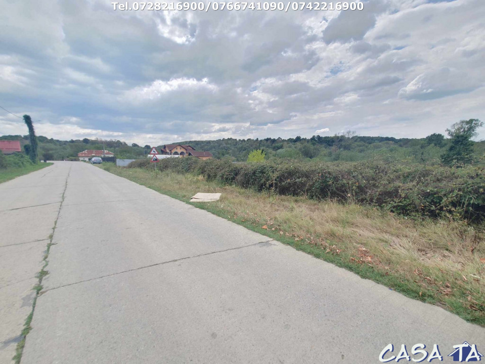 Teren Intravilan (1000 mp),situat în Danesti -Vacarea