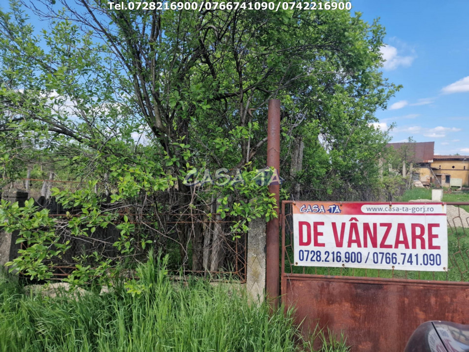 Teren (9481 mp),situat în Danesti -Vacarea
