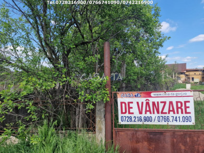 Teren (9481 mp),situat în Danesti -Vacarea