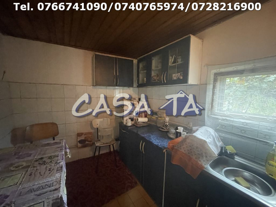 Casa 4 Camere + Teren (6500mp) si Anexe, Turcinesti