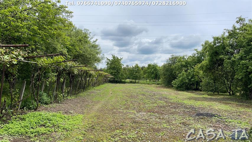 Casa 4 Camere + Teren (6500mp) si Anexe, Turcinesti