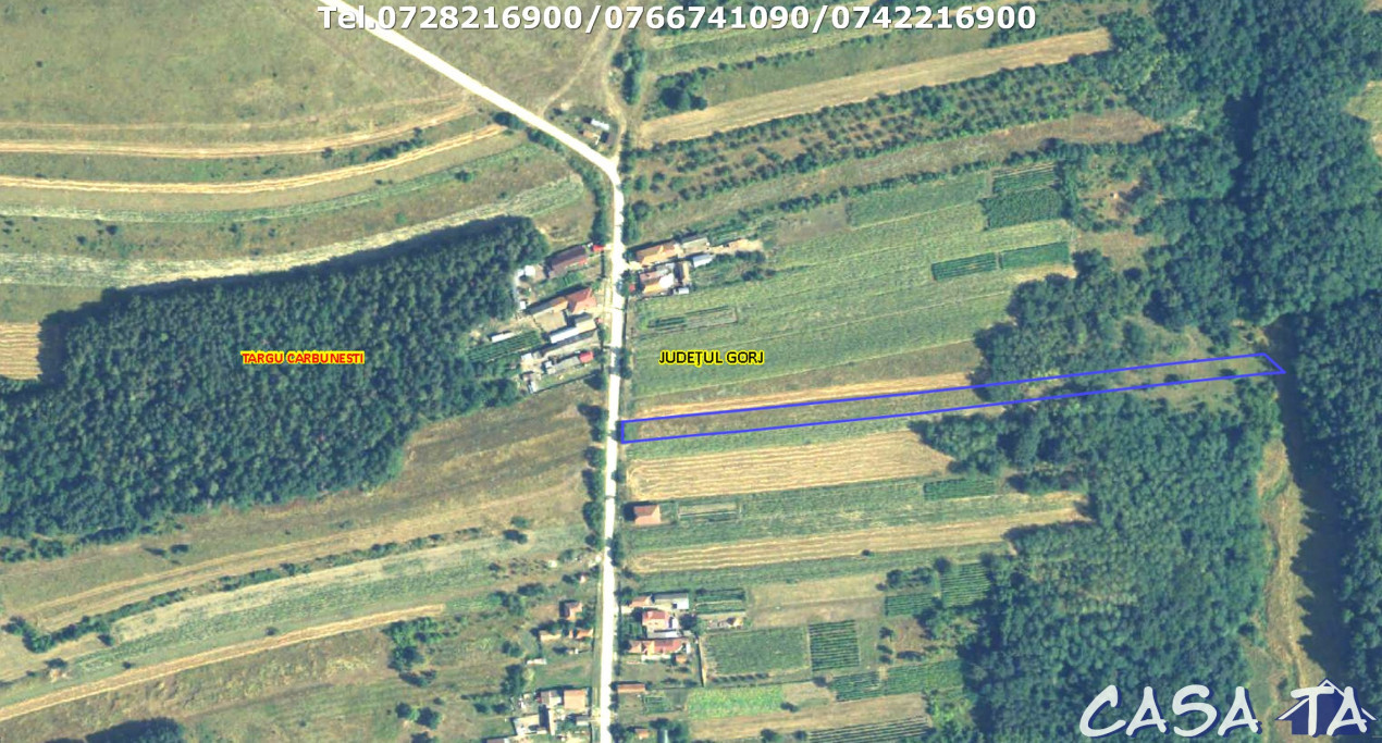 Teren situat în orasul Târgu-Carbunesti , Localitatea Floresteni