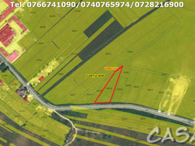 Teren Intravilan (2500 mp), Strada Ciocarlau - Zona Artego