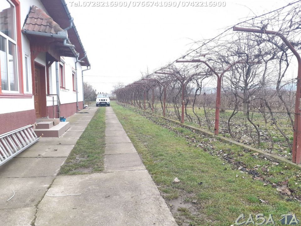Vila de lux situata în Balesti 