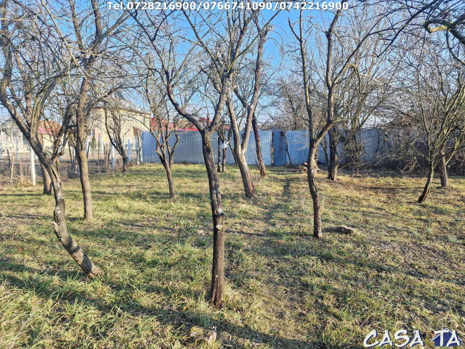 Casa + teren 7417 mp, situata în Scoarta - Budieni