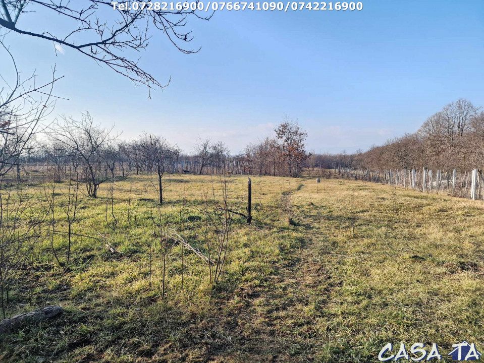 Casa + teren 7417 mp, situata în Scoarta - Budieni