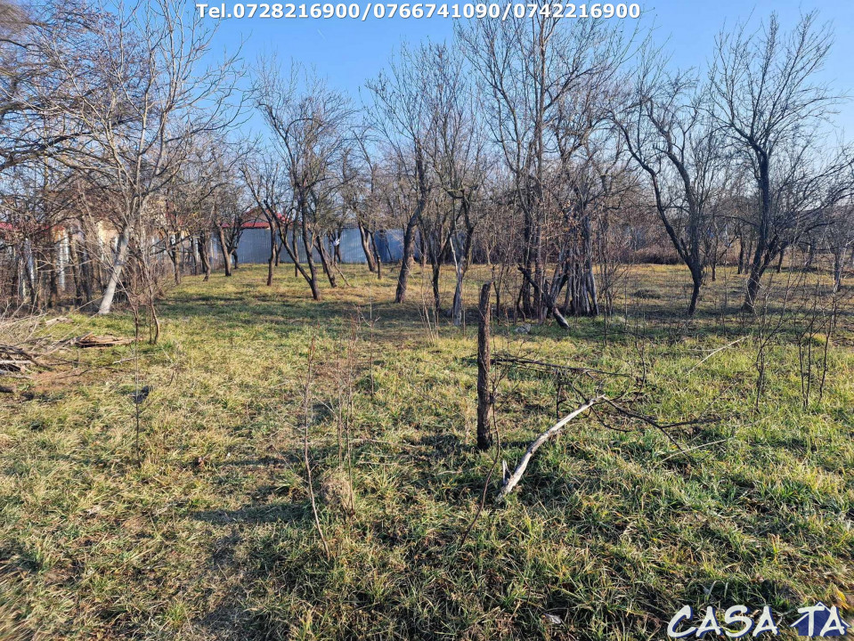 Casa + teren 7417 mp, situata în Scoarta - Budieni