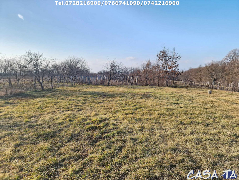 Casa + teren 7417 mp, situata în Scoarta - Budieni
