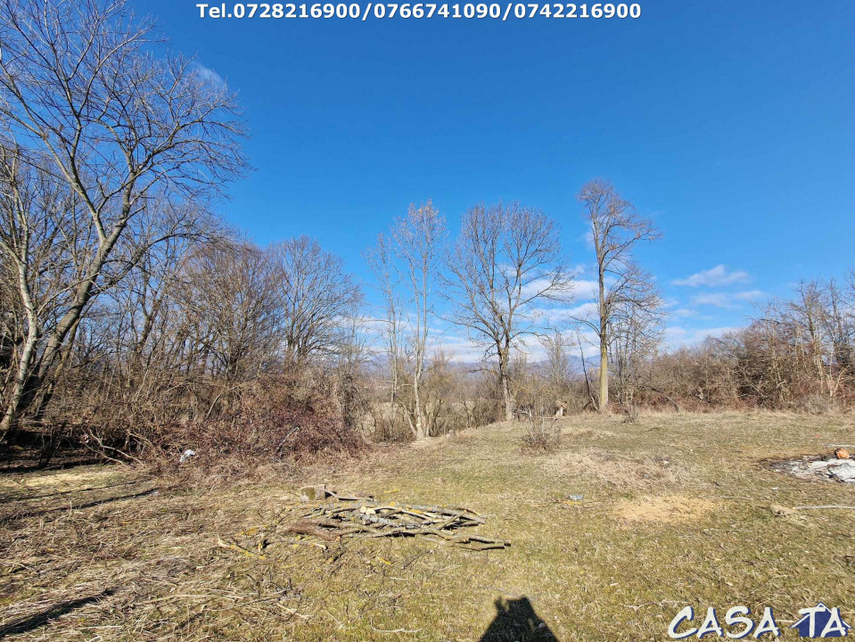 Casa+Teren aferent si Anexe, Tismana-Vanata