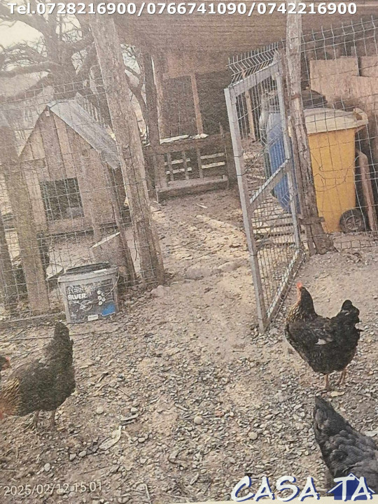 Casa+Teren aferent si Anexe, Pades