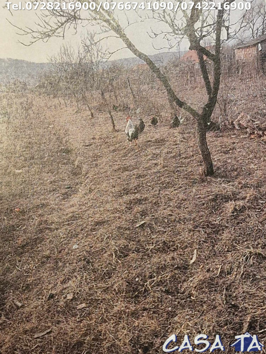 Casa+Teren aferent si Anexe, Pades