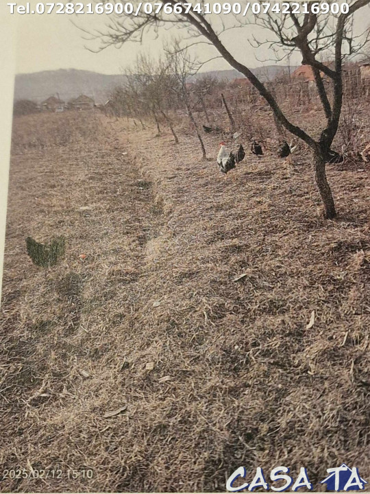 Casa+Teren aferent si Anexe, Pades