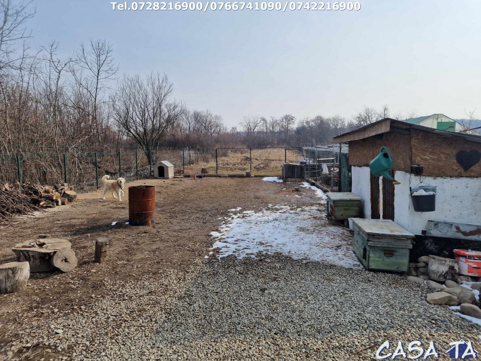 Casa P+1, situata în Curtisoara