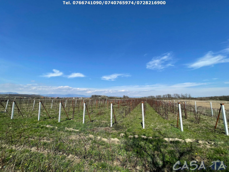 Casa 4 Camere P+1 si teren aferent (10533 mp), Calnic