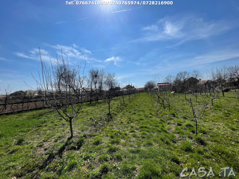 Casa 4 Camere P+1 si teren aferent (10533 mp), Calnic