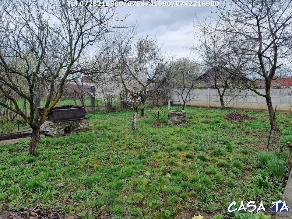 Casa P+M situata în Târgu Jiu, Aleea Luncilor