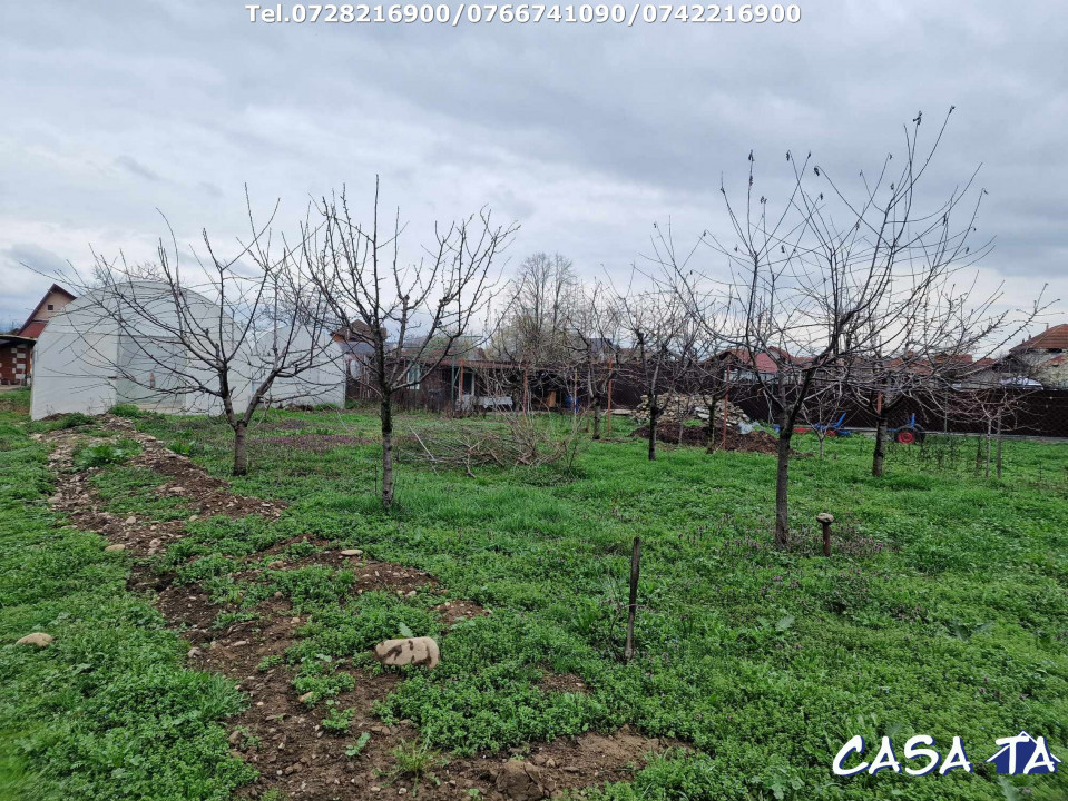 Casa P+M situata în Târgu Jiu, Aleea Luncilor