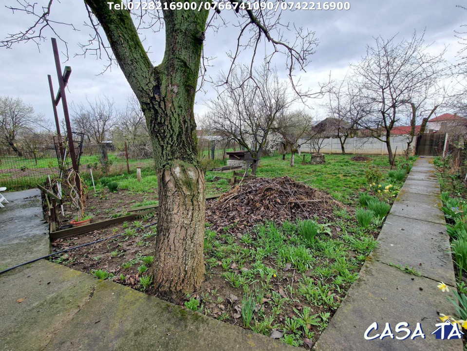 Casa P+M situata în Târgu Jiu, Aleea Luncilor