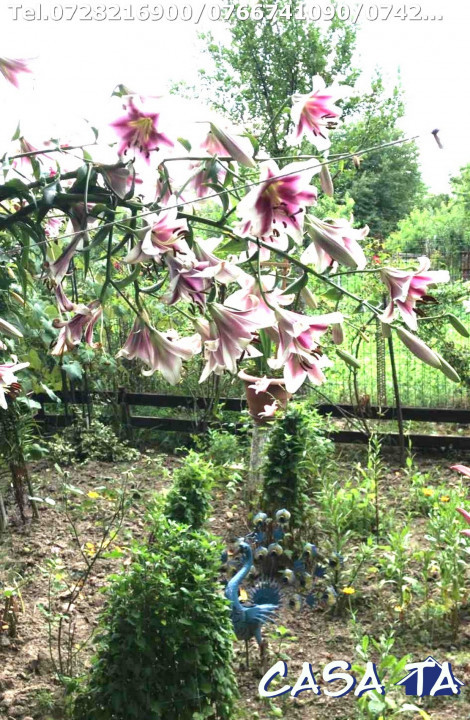 Casa P+M situata în Târgu Jiu, Aleea Luncilor