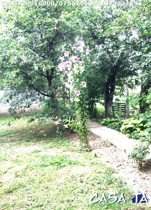 Casa P+M situata în Târgu Jiu, Aleea Luncilor