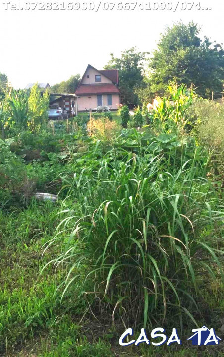 Casa P+M situata în Târgu Jiu, Aleea Luncilor