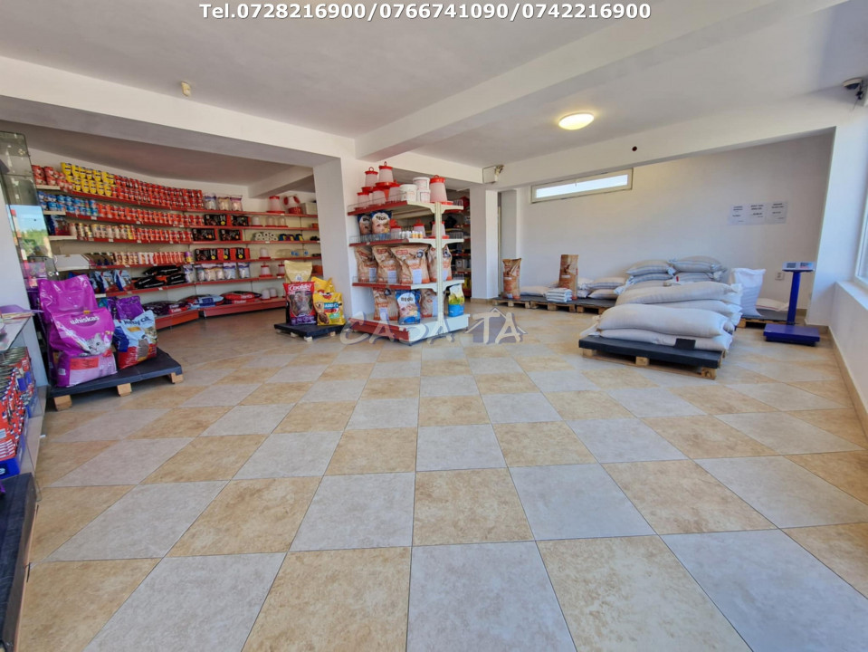 Închiriere spatiu comercial, în Dragoeni
