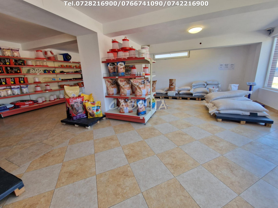 Închiriere spatiu comercial, în Dragoeni