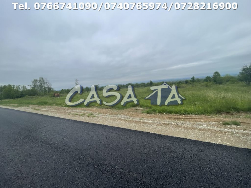 Teren Intravilan (4718 mp), Danesti