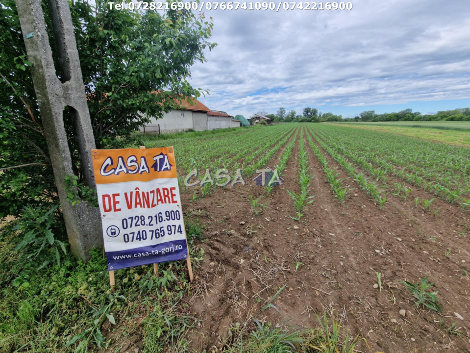 Teren Intravilan (7500 mp),situat în Bălesti - Tămășești