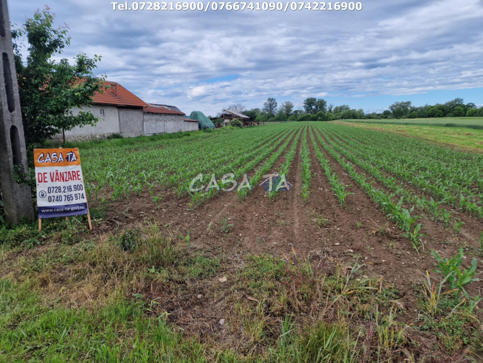 Teren Intravilan (7500 mp),situat în Bălesti - Tămășești