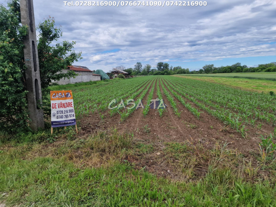 Teren Intravilan (7500 mp),situat în Bălesti - Tămășești