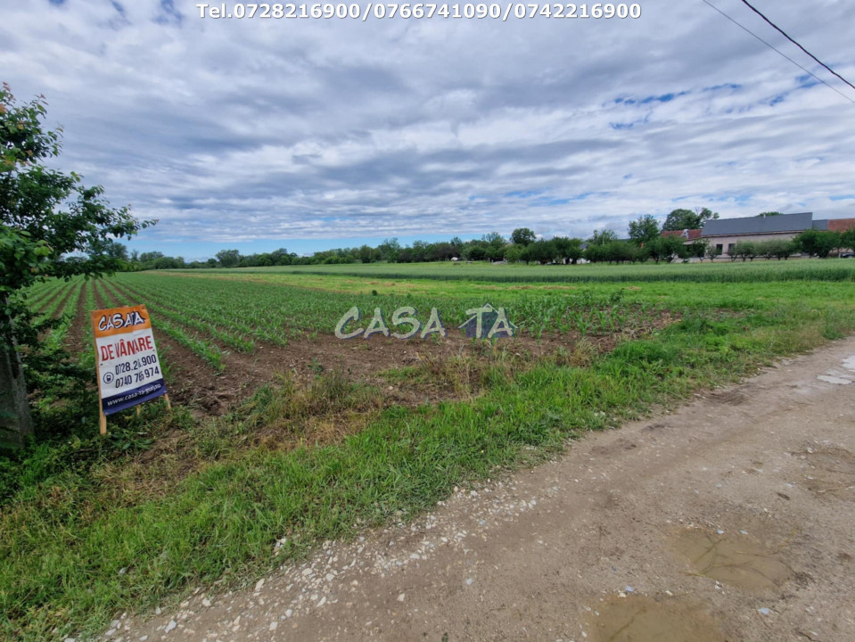 Teren Intravilan (7500 mp),situat în Bălesti - Tămășești