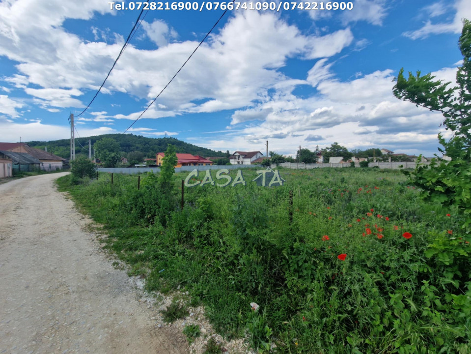 Teren Intravilan, situat în Balesti