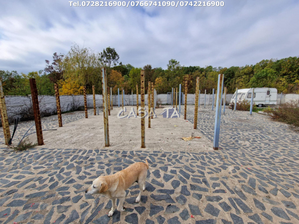 Teren Intravilan (498 mp),situat în Botorogi - Danesti