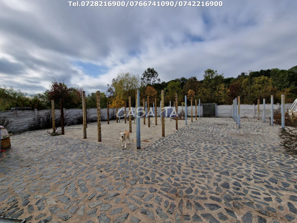 Teren Intravilan (498 mp),situat în Botorogi - Danesti