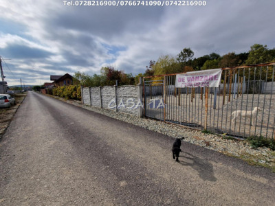 Teren Intravilan (498 mp),situat în Botorogi - Danesti