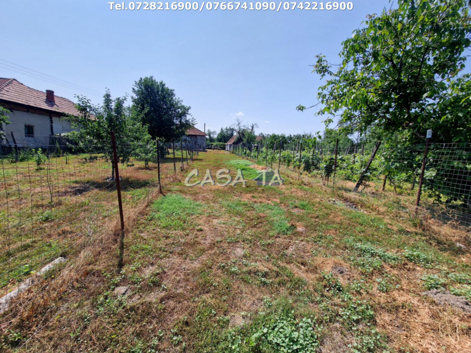 Casa + teren 3792 mp, situata în Scoarta - Budieni