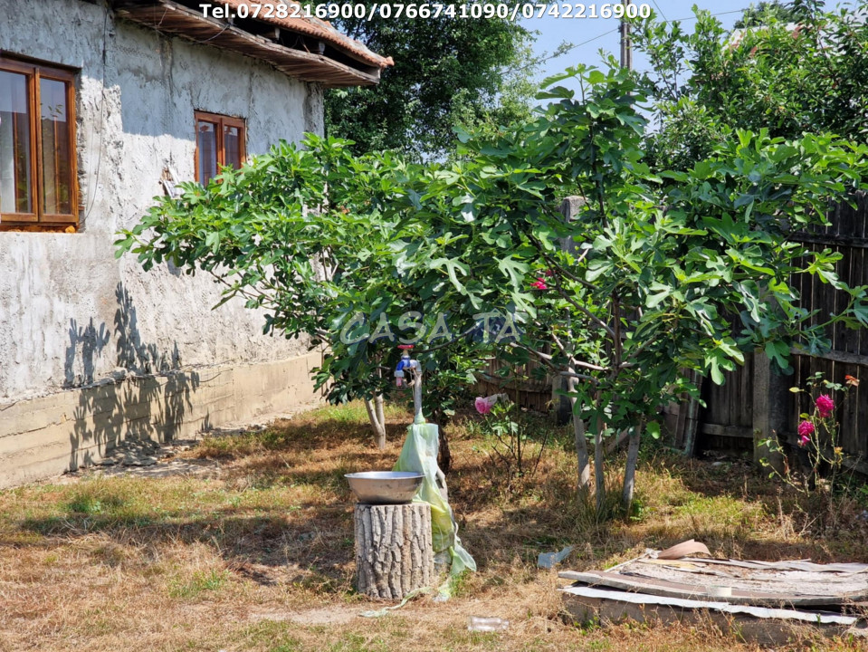 Casa + teren 3792 mp, situata în Scoarta - Budieni