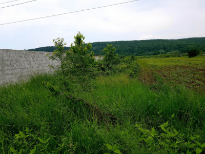 Teren Intravilan  Agricol (18.000 mp),situat în Preajba Mare
