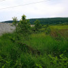 Teren Intravilan  Agricol (18.000 mp),situat în Preajba Mare