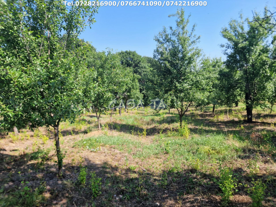 Casa 3 Camere + Teren si Anexe, Tîrculesti- Danesti