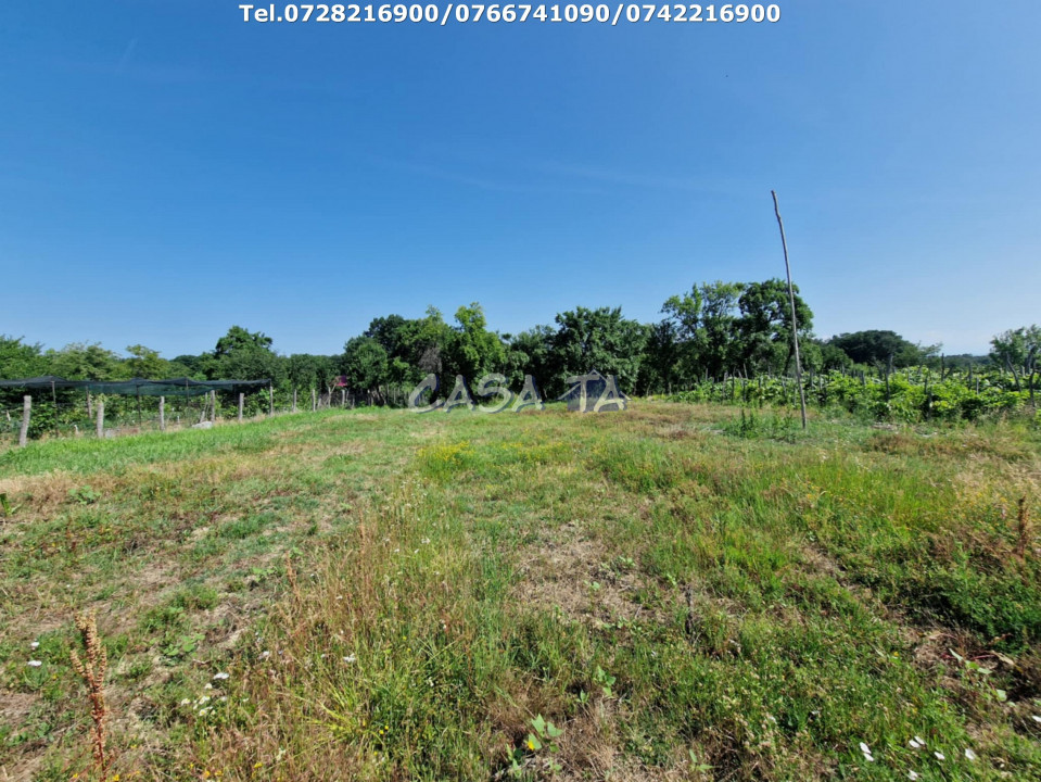 Casa 3 Camere + Teren si Anexe, Tîrculesti- Danesti