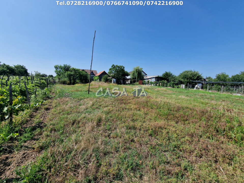 Casa 3 Camere + Teren si Anexe, Tîrculesti- Danesti